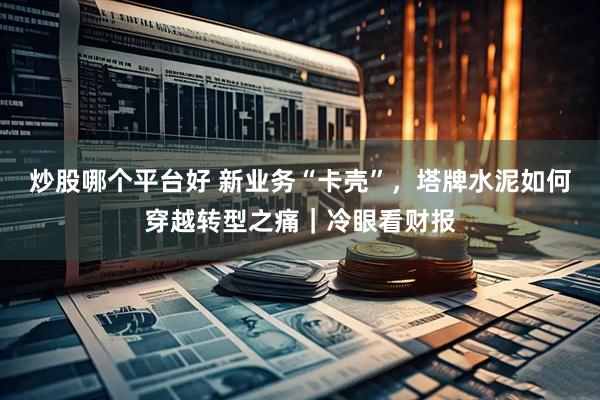 炒股哪个平台好 新业务“卡壳”，塔牌水泥如何穿越转型之痛｜冷眼看财报