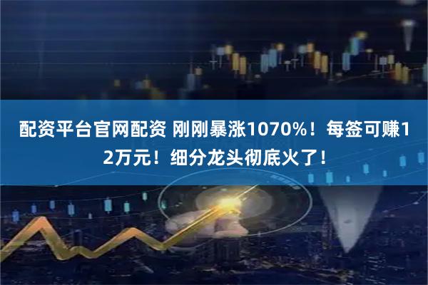 配资平台官网配资 刚刚暴涨1070%！每签可赚12万元！细分龙头彻底火了！
